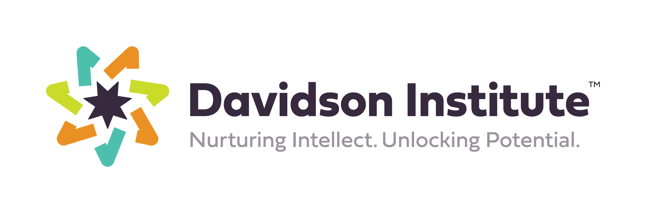 Davidson Institute Logo