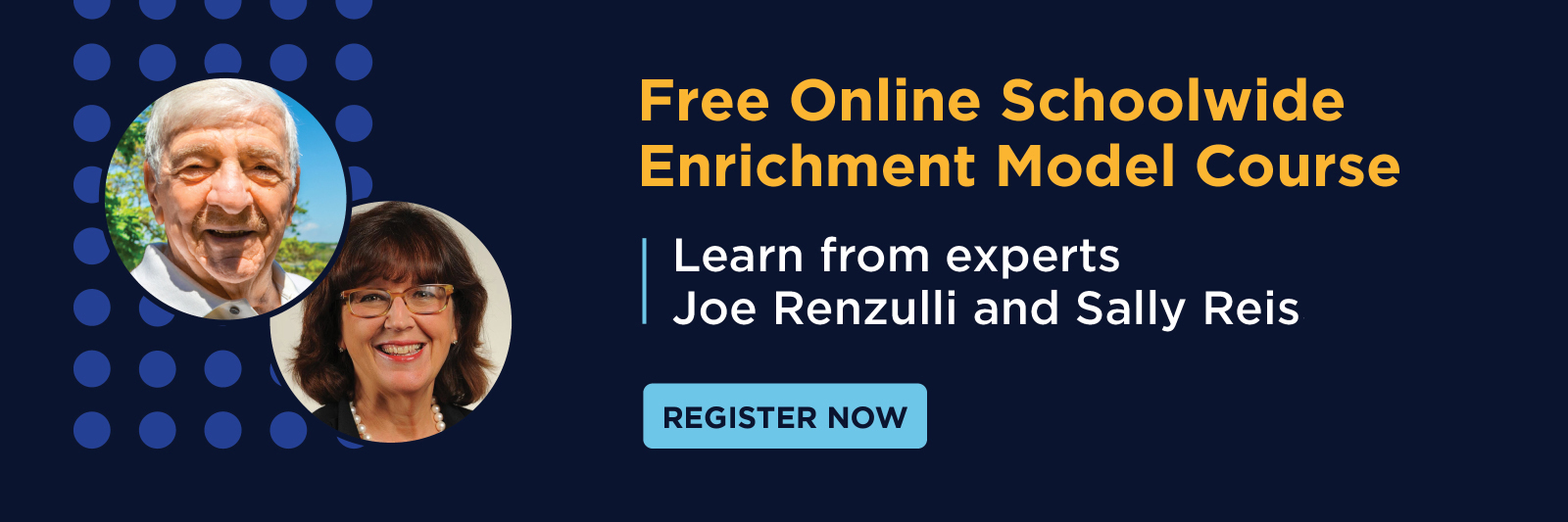 Free Online SEM Course Registration Banner